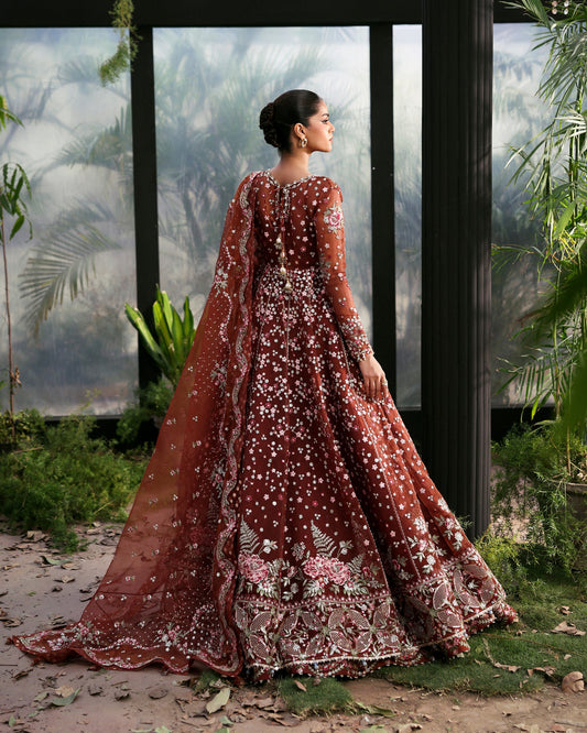 afrozeh lafuschia in ludhiana