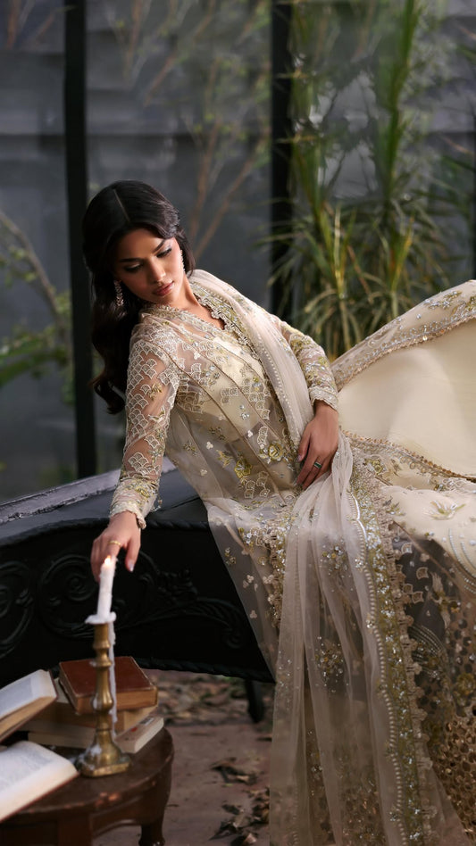 Woman in a traditional embroidered outfit with a blurred background