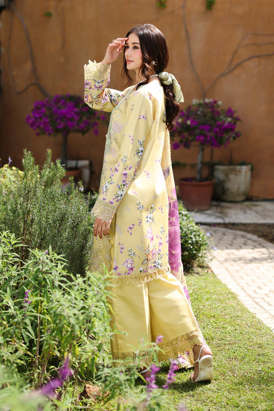 Rang Rasiya Lifestyle Summer Lawn 2026 |Hazel
