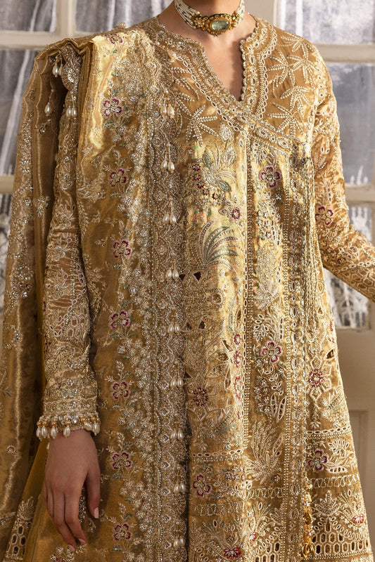 Afrozeh Dastangoi Wedding & Festive Suits – Pakistani Partywear for Indian Women