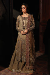 charizma chiffon collection now ready in mumbai