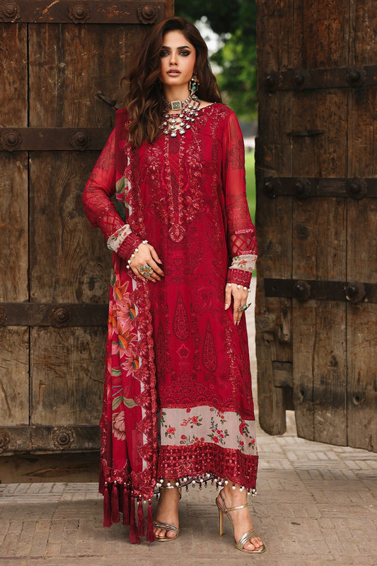 festive chifffon collection in india