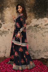 vasal chiffon collection in kolkata