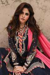 vasal chiffon collection in cghandigadh