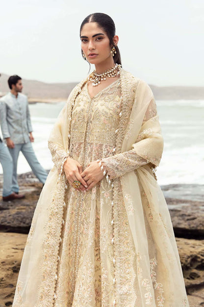 - “Aroohi by Afrozeh original Pakistani embroidered organza suit”
