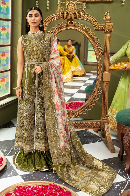 - Luxury Pakistani fashio
