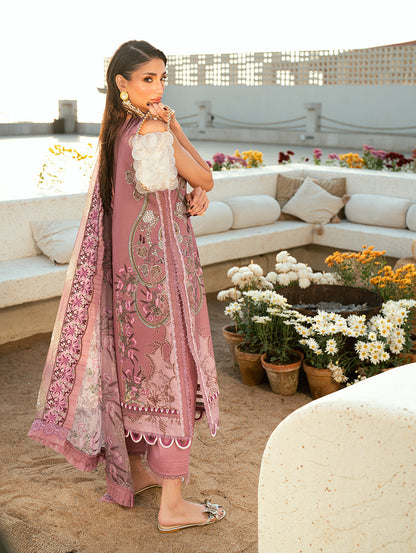 Jade Needle Wonder 2026-01 Aangan | the Essence of Lawn & Chiffon