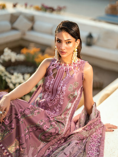 Jade Needle Wonder 2026-01 Aangan | the Essence of Lawn & Chiffon