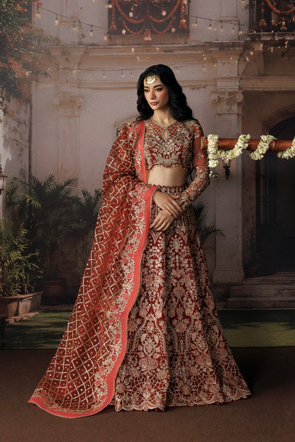 Red Organza Pakistani wedding suit front view with silver embroidery - Aangan