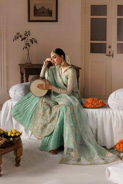 Aqua Organza Pakistani wedding suit full styled look - Aangan