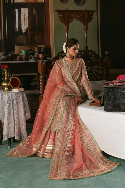 Peach-gold Organza Pakistani bridal suit sleeve detail - Aangan