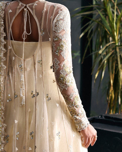 pakisatnibethnic wear collection in inia