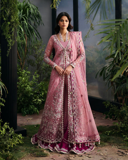 pakistani organza unstiched dress