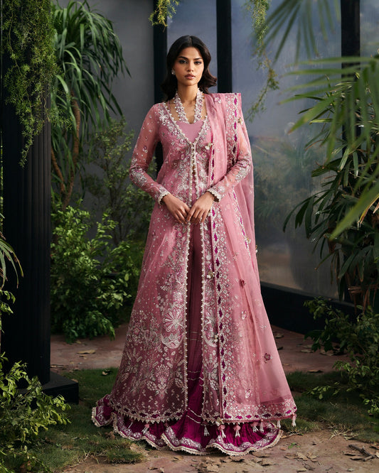 pakistani organza unstiched dress