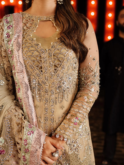 NUREH JHUMRO FESTIVE COLLECTION