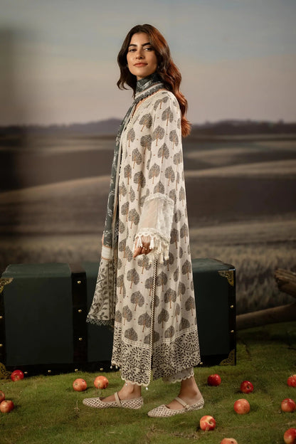 	Maria B MBasic Fall/Winter Collection 2025 – Pakistani Dresses Online in India