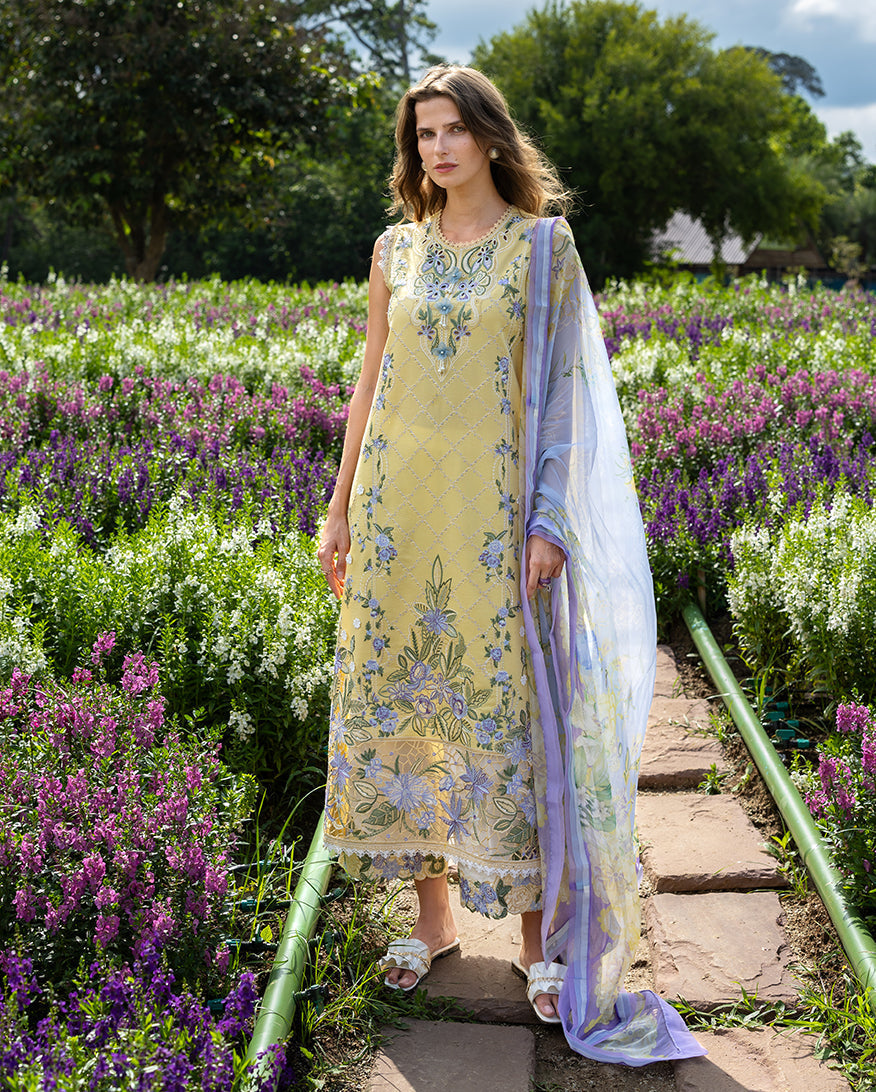 Secret Garden Hemline Lawn by Mushq 2026| Sunlit Meadow Aangan | the Essence of Lawn & Chiffon