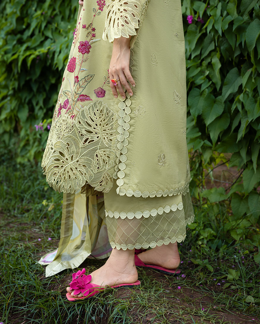 Secret Garden Hemline Lawn by Mushq 2026| Wildflower Waltz Aangan | the Essence of Lawn & Chiffon
