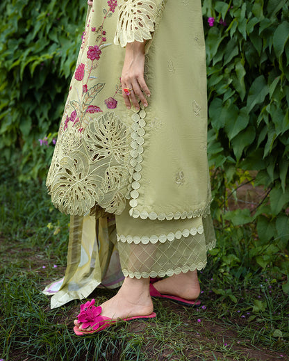 Secret Garden Hemline Lawn by Mushq 2026| Wildflower Waltz Aangan | the Essence of Lawn & Chiffon