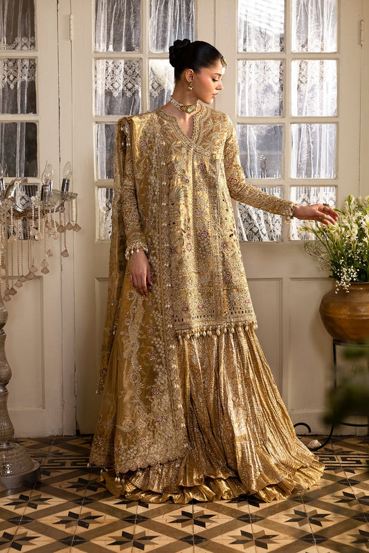 Afrozeh Dastangoi Wedding & Festive Suits – Pakistani Partywear for Indian Women