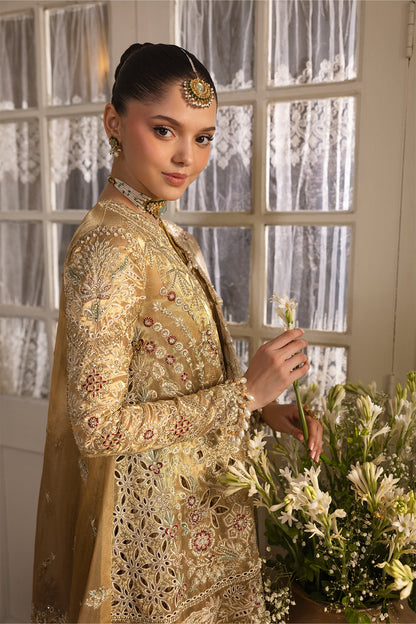 Afrozeh Dastangoi Wedding & Festive Suits – Pakistani Partywear for Indian Women