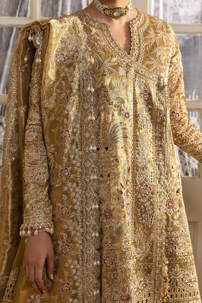 Afrozeh Dastangoi Wedding & Festive Suits – Pakistani Partywear for Indian Women